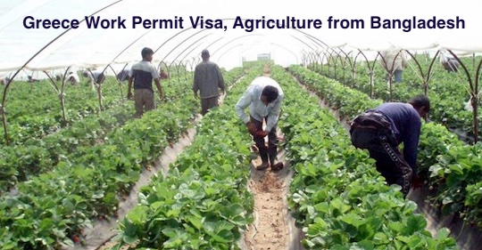 Greece Work Permit Visa 2023 - Greece Agriculture Job Visa from Bangladesh